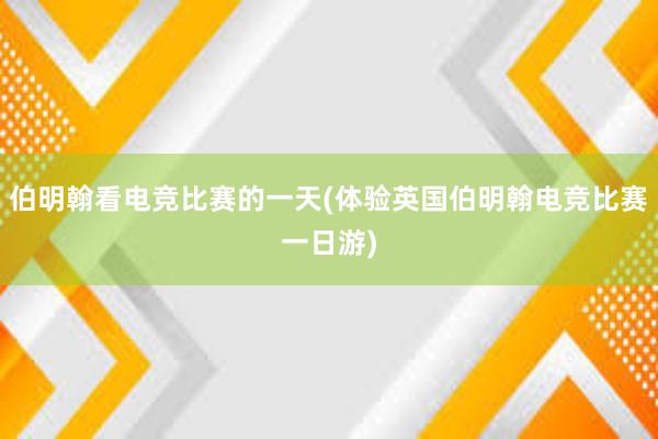 伯明翰看电竞比赛的一天(体验英国伯明翰电竞比赛一日游)