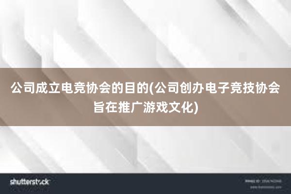 公司成立电竞协会的目的(公司创办电子竞技协会旨在推广游戏文化)