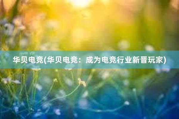 华贝电竞(华贝电竞：成为电竞行业新晋玩家)