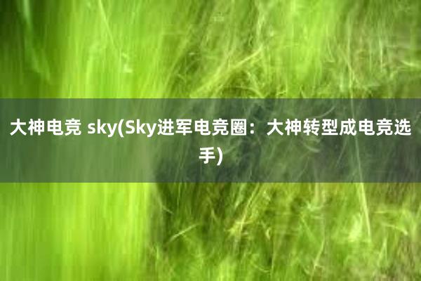 大神电竞 sky(Sky进军电竞圈：大神转型成电竞选手)