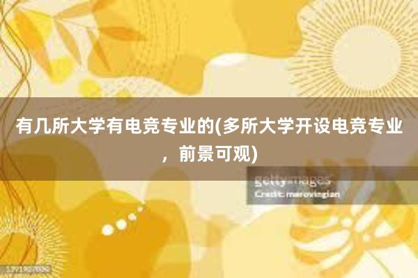 有几所大学有电竞专业的(多所大学开设电竞专业，前景可观)