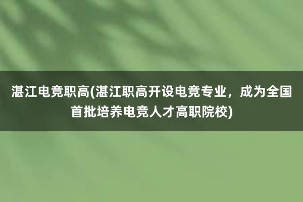 湛江电竞职高(湛江职高开设电竞专业，成为全国首批培养电竞人才高职院校)