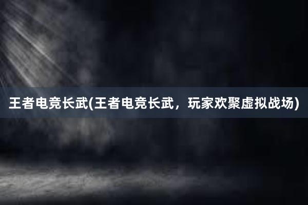 王者电竞长武(王者电竞长武，玩家欢聚虚拟战场)