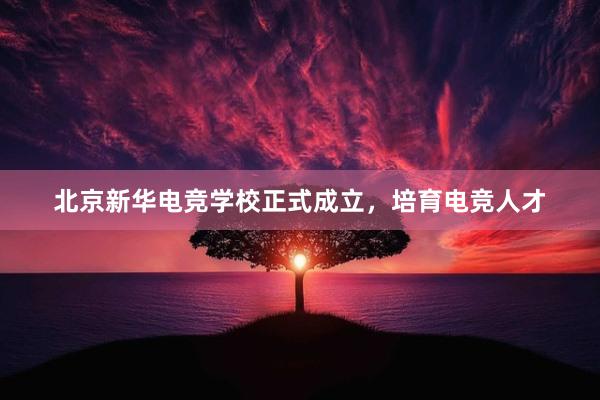 北京新华电竞学校正式成立，培育电竞人才