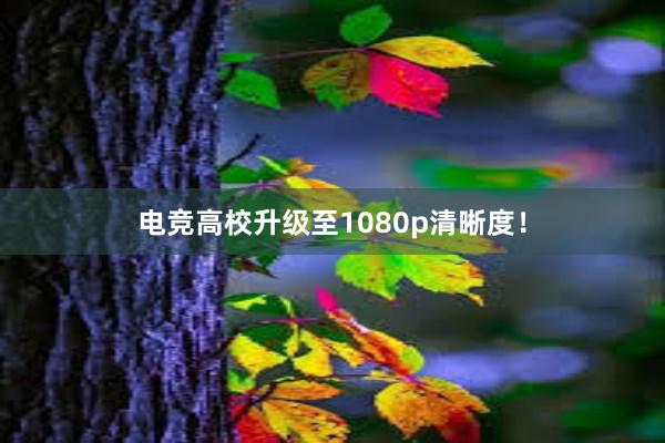 电竞高校升级至1080p清晰度！