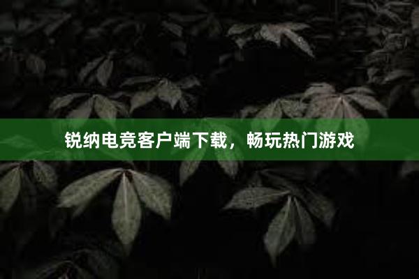 锐纳电竞客户端下载，畅玩热门游戏